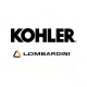 Запчасти на двигатель Lombardini Kohler KDI2504 TCR/22.